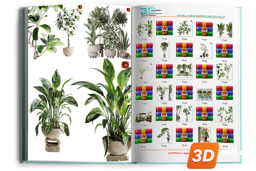 978.Sell Album Indoor Plant PRO Vol 01